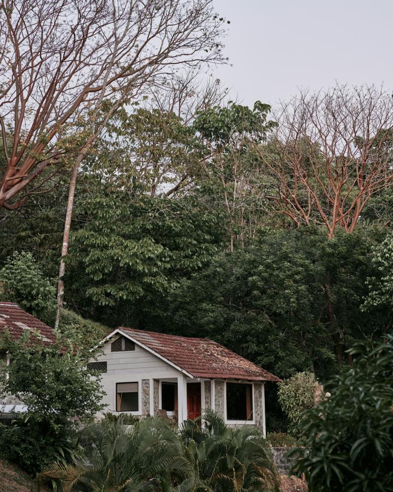 Small House Surrounded by Trees in a Rural Setting